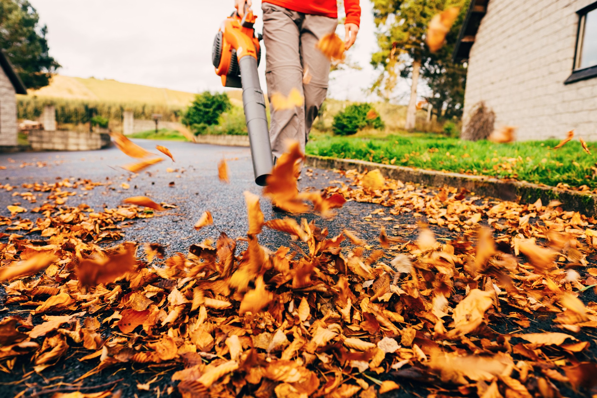 Allée de dégagement de souffleur de feuilles