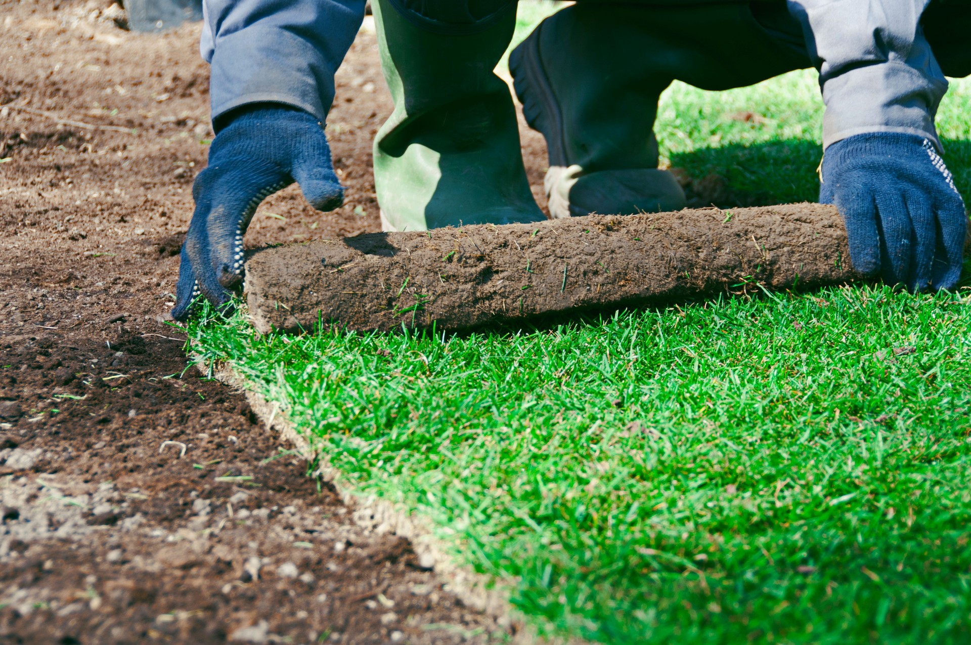 Jardin de travail de lancement pour faire une pelouse d'herbe